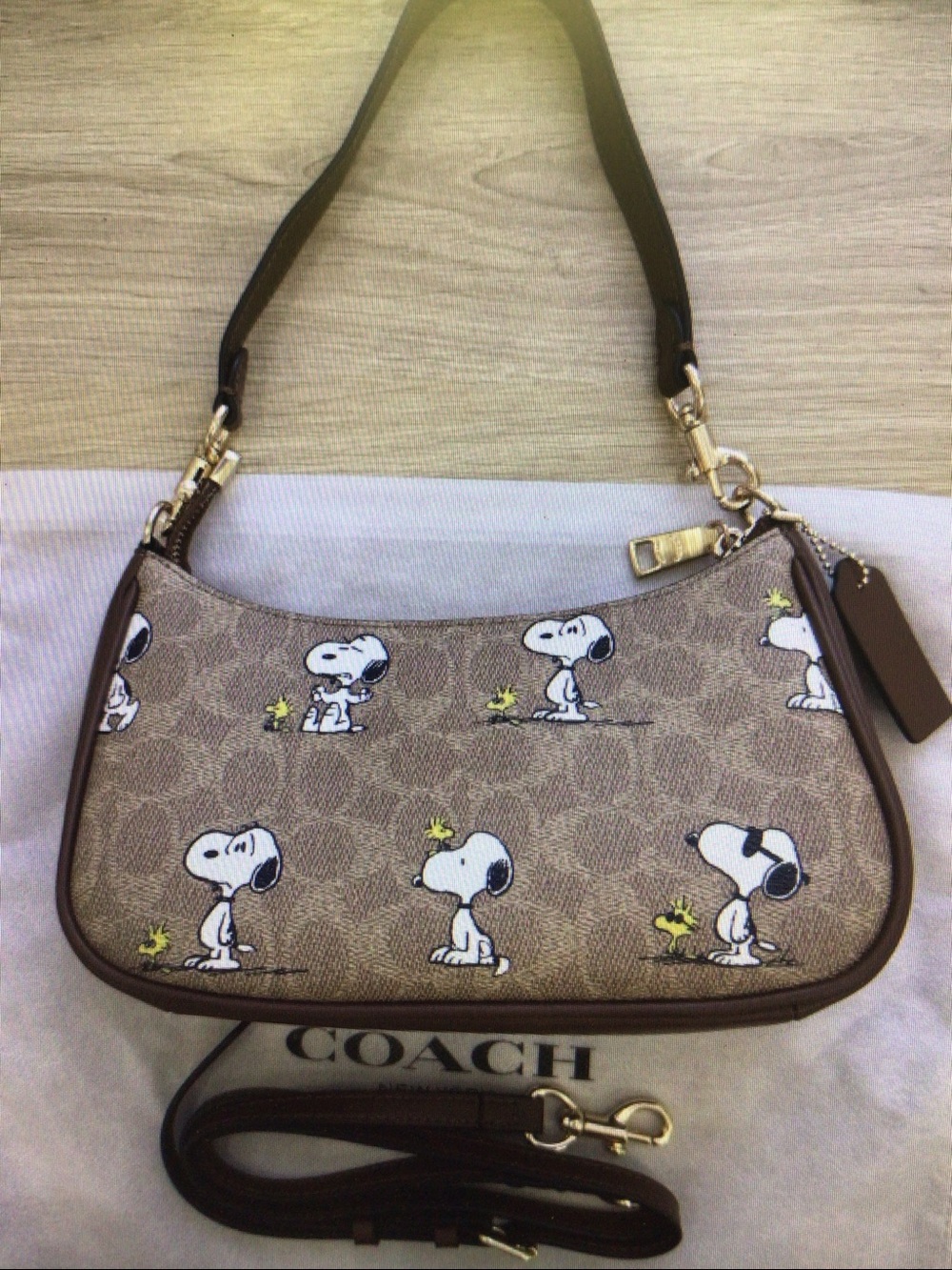 Coach X Peanuts Teri Shoulder Bag In Signature Canvas With Snoopy Print